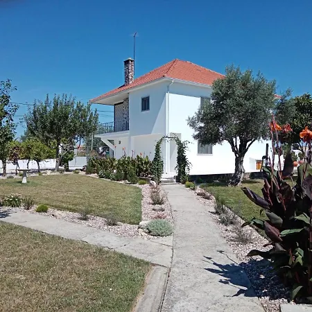 Cantinho Da Ana Tomar