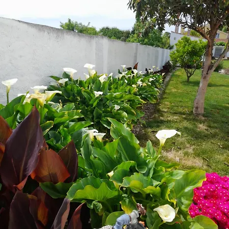 Holiday home Cantinho Da Ana *