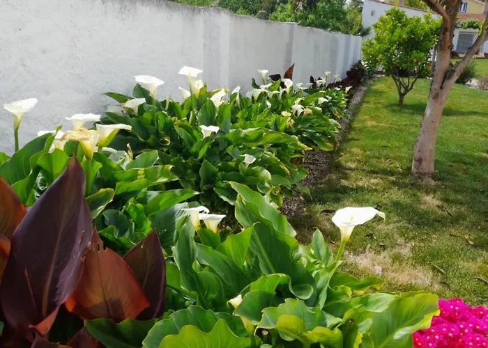 Casa vacanze Cantinho Da Ana *